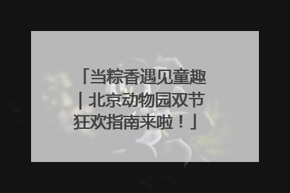 当粽香遇见童趣｜北京动物园双节狂欢指南来啦！
