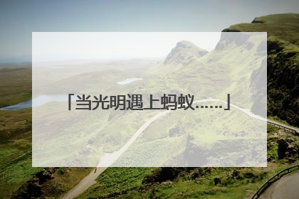 当光明遇上蚂蚁……