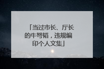 当过市长、厅长的牛弩韬，违规编印个人文集
