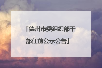 德州市委组织部干部任前公示公告