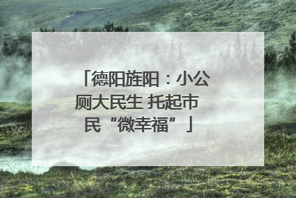 德阳旌阳：小公厕大民生 托起市民“微幸福”