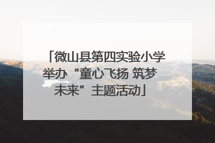 微山县第四实验小学举办“童心飞扬 筑梦未来”主题活动