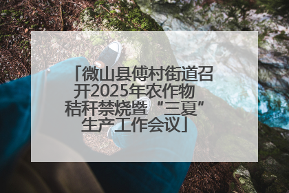 微山县傅村街道召开2025年农作物秸秆禁烧暨“三夏”生产工作会议