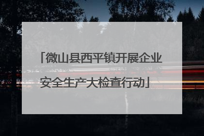 微山县西平镇开展企业安全生产大检查行动