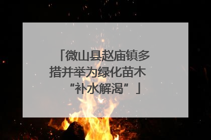 微山县赵庙镇多措并举为绿化苗木“补水解渴”