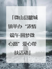 微山县驩城镇举办“浓情端午·圆梦微心愿”爱心帮扶活动