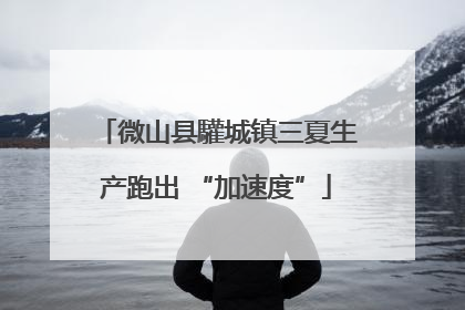 微山县驩城镇三夏生产跑出 “加速度”