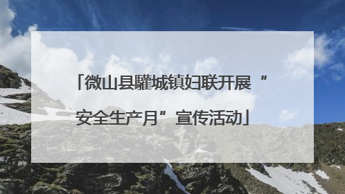 微山县驩城镇妇联开展“安全生产月”宣传活动
