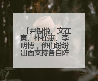 尹锡悦、文在寅、朴槿惠、李明博，他们纷纷出面支持各自阵营候选人