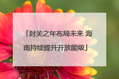 封关之年布局未来 海南持续提升开放能级