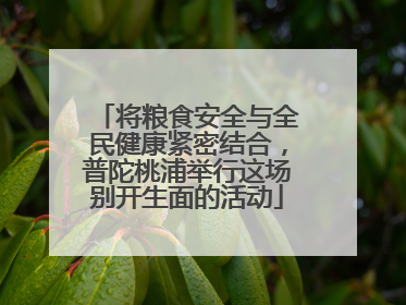 将粮食安全与全民健康紧密结合，普陀桃浦举行这场别开生面的活动