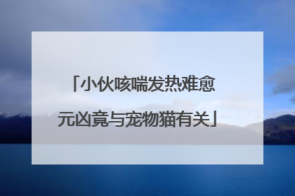 小伙咳喘发热难愈 元凶竟与宠物猫有关