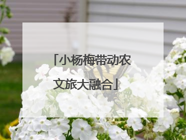 小杨梅带动农文旅大融合