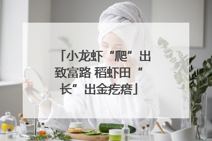 小龙虾“爬”出致富路 稻虾田“长”出金疙瘩