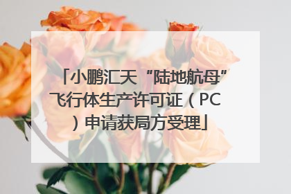 小鹏汇天“陆地航母”飞行体生产许可证（PC）申请获局方受理