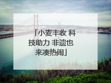 小麦丰收 科技助力 非遗也来凑热闹