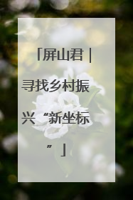 屏山君｜寻找乡村振兴“新坐标”