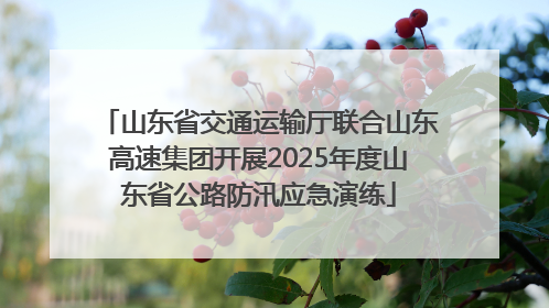 山东省交通运输厅联合山东高速集团开展2025年度山东省公路防汛应急演练