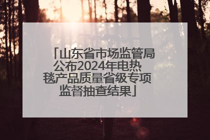 山东省市场监管局公布2024年电热毯产品质量省级专项监督抽查结果