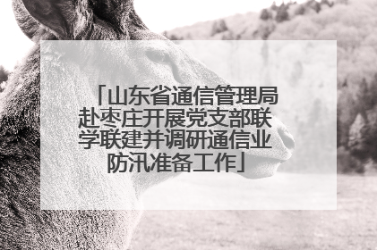 山东省通信管理局赴枣庄开展党支部联学联建并调研通信业防汛准备工作