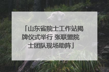 山东省院士工作站揭牌仪式举行 张联盟院士团队现场助阵