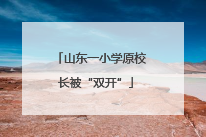 山东一小学原校长被“双开”