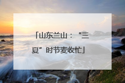 山东兰山：“三夏”时节麦收忙