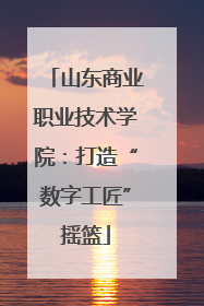 山东商业职业技术学院：打造“数字工匠”摇篮