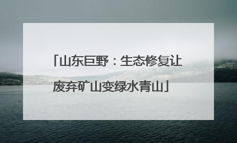 山东巨野：生态修复让废弃矿山变绿水青山