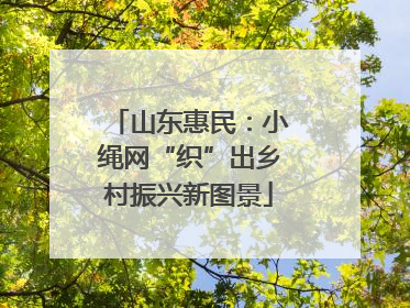 山东惠民：小绳网“织”出乡村振兴新图景