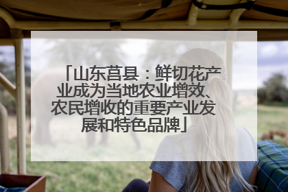 山东莒县：鲜切花产业成为当地农业增效、农民增收的重要产业发展和特色品牌