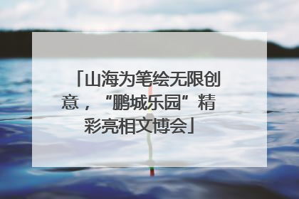 山海为笔绘无限创意，“鹏城乐园”精彩亮相文博会