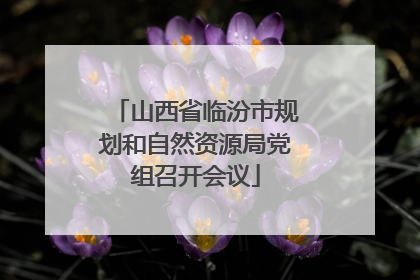 山西省临汾市规划和自然资源局党组召开会议