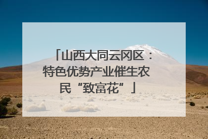 山西大同云冈区：特色优势产业催生农民“致富花”