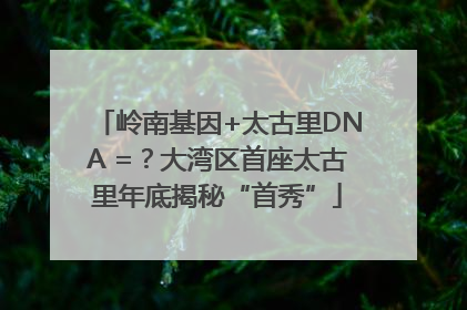 岭南基因+太古里DNA =？大湾区首座太古里年底揭秘“首秀”