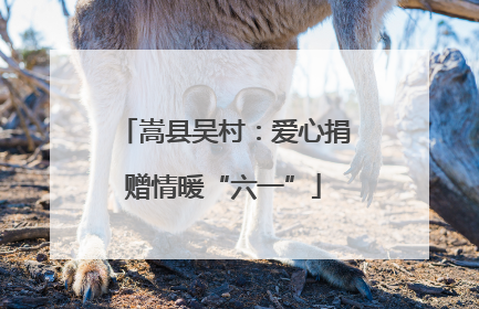 嵩县吴村：爱心捐赠情暖“六一”