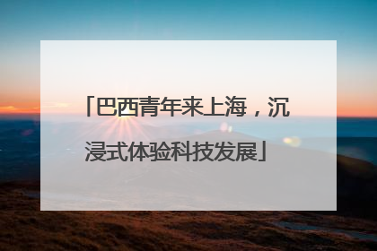巴西青年来上海，沉浸式体验科技发展