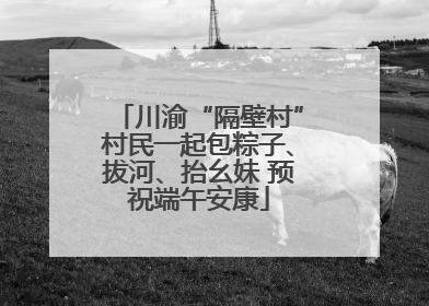 川渝“隔壁村”村民一起包粽子、拔河、抬幺妹 预祝端午安康