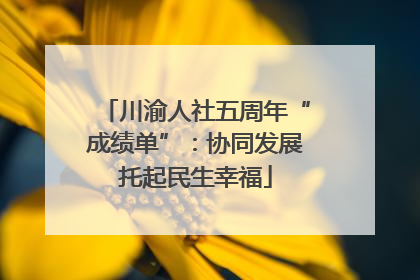 川渝人社五周年“成绩单”：协同发展托起民生幸福