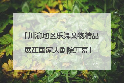 川渝地区乐舞文物精品展在国家大剧院开幕