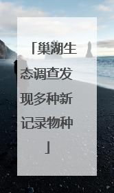 巢湖生态调查发现多种新记录物种