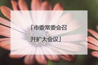 市委常委会召开扩大会议
