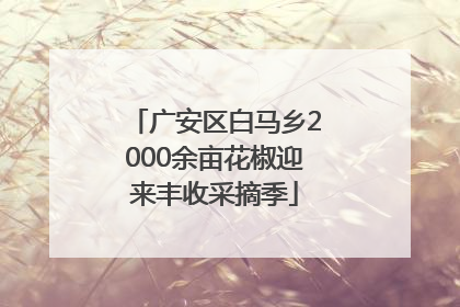 广安区白马乡2000余亩花椒迎来丰收采摘季