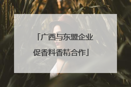 广西与东盟企业促香料香精合作