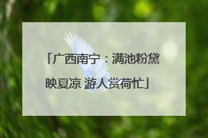 广西南宁：满池粉黛映夏凉 游人赏荷忙