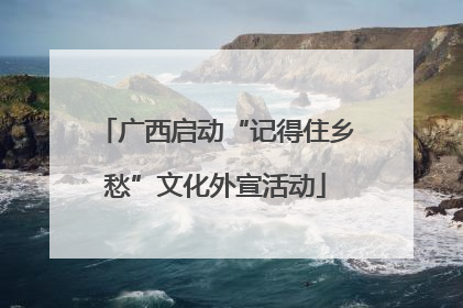 广西启动“记得住乡愁”文化外宣活动