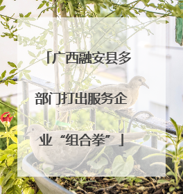 广西融安县多部门打出服务企业“组合拳”