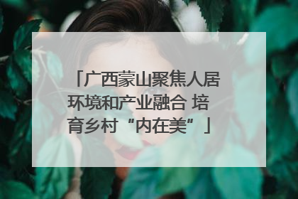 广西蒙山聚焦人居环境和产业融合 培育乡村“内在美”