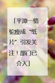 平潭一骆驼瘦成“纸片”引发关注！部门已介入