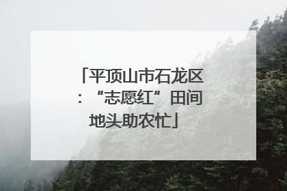 平顶山市石龙区：“志愿红”田间地头助农忙